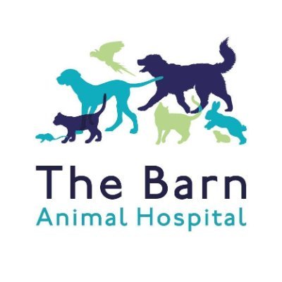 Barn Animal Hospital is part of Linnaeus Veterinary Ltd (A Mars Company). Visit https://t.co/eo2dcscATg or https://t.co/1v5SUuxdUw for contact & legal info.