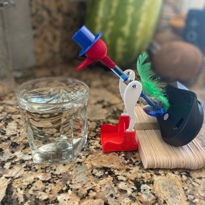 justshutdfup's profile picture. I’m a comedian, so don’t take me seriously unless I’m being serious. I’m part of the few fighting for free speech remember?