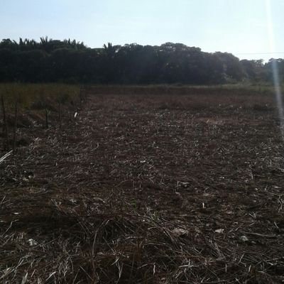 Shha24108724's profile picture. vc sex