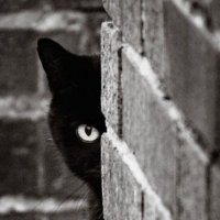 Labaronesa (@labaronesa7) 's Twitter Profile Photo Labaronesa (@labaronesa7) 's Twitter Profile Photo
