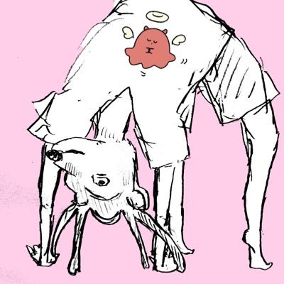 めんだこさんのプロフィール画像