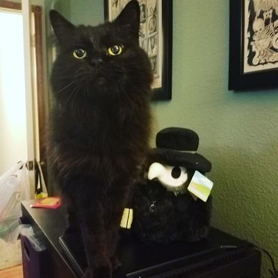 MishieWild's profile picture. I got banned so I made a new one She/Her Formerly @StarbuckMH