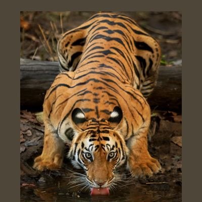 DanielleEasto14's profile picture. 