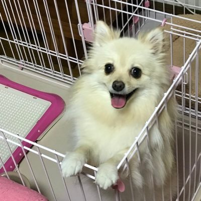 XrI7AHDeycAhcE4's profile picture. 