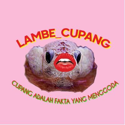 Aku preloved skincare
di cek di timeline ya guys