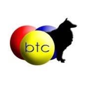 BTCtreibball's profile picture. 
