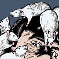 Rattacke (@rattacke) 's Twitter Profile