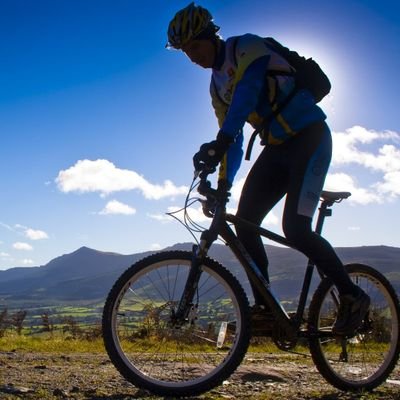 shane_molloy34's profile picture. 