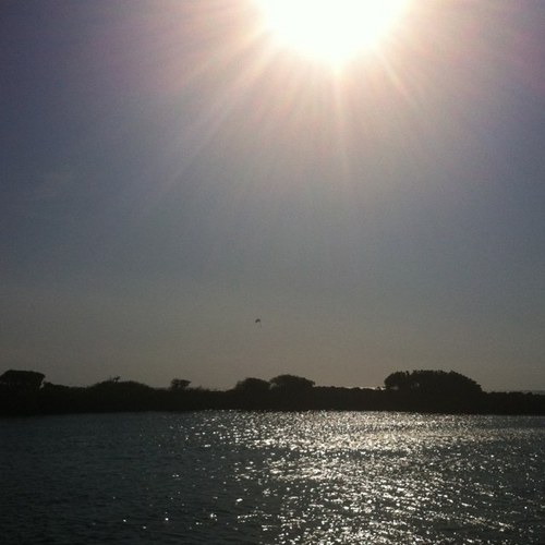 svinson2's profile picture. 