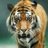 singkavya's profile image