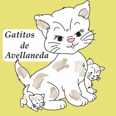 gatitosdeavella Profile Picture