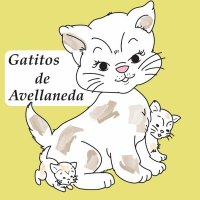 gatitosdeavellaneda(@gatitosdeavella) 's Twitter Profile Photo