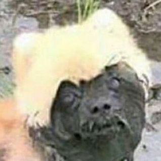 id_monsters's profile picture. 🌈 alt acct so i can like porn tweets (like ted cruz did on 9/11)