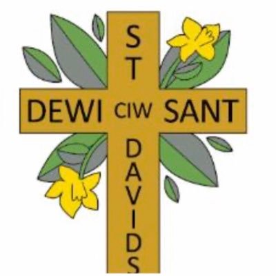 St David's CiW Prm Profile