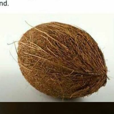 nino_grande4's profile picture. do as I please ... your opinion pays no bills ... love then hate me then love me more