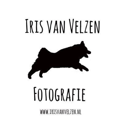 Iris van Velzen Foto