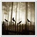 Isaac Cross - @Isaac_CrossSCW - Twitter