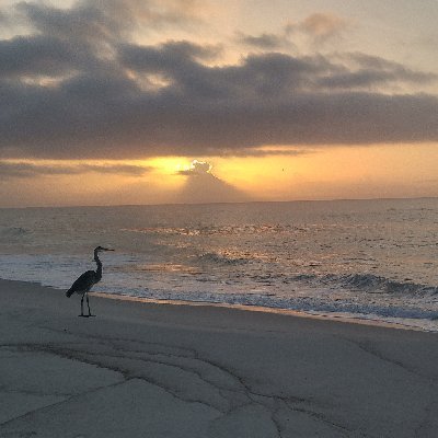 Reflective thoughts while walking on the beach. https://t.co/nnmjn3Us0R