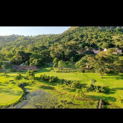 p_zezuru's profile picture. 