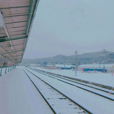 motspjamais's profile picture. 