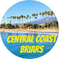 Central Coast Briars(@CenCoastBriars) 's Twitter Profile Photo