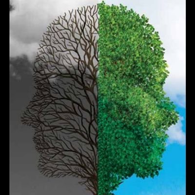El capítulo de Trastornos Bipolares de la AAP tiene como objetivo fomentar la actualizacion y divulgación del conocimiento de los Trastornos del Ánimo