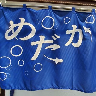 めだか川屋です。大阪府寝屋川市に2020年にオープンした #めだか 専門店です。約20種類のめだかを飼育、販売しています。 Twitter初心者です。皆様仲良くしてください。冬季期間中は土曜日、日曜日、祝日  11時〜16時半