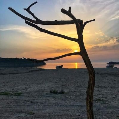 nilgundegirmen2's profile picture.