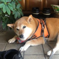bake (@bakepotre) 's Twitter Profile Photo bake (@bakepotre) 's Twitter Profile Photo