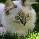 Cathy Hallam - @cathylhallam - Twitter