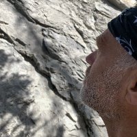 Jeremy Hadwin (@jerryhadwin) 's Twitter Profile