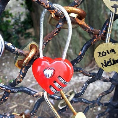 di_haja's profile picture. Meteorologist 🌄☔⛅❄️
Compte exclusivement personnel 🍻