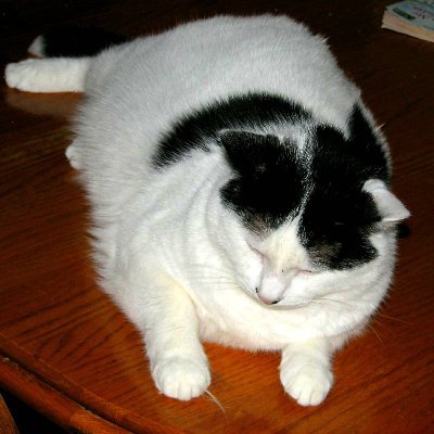 MinhHiepLe97's profile picture. Just in time