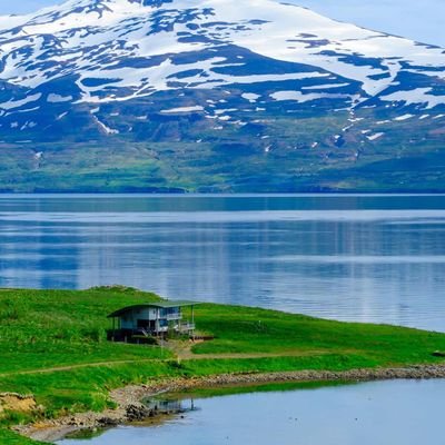 Ahmed20256199's profile picture. 