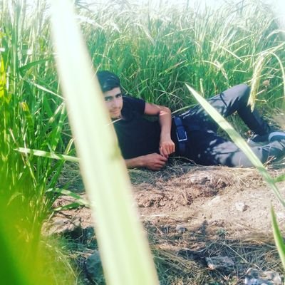 BahattinTan9's profile picture. 