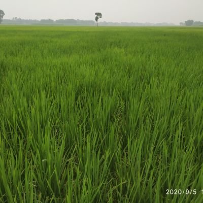 shashidanandjha's profile picture. Learner...