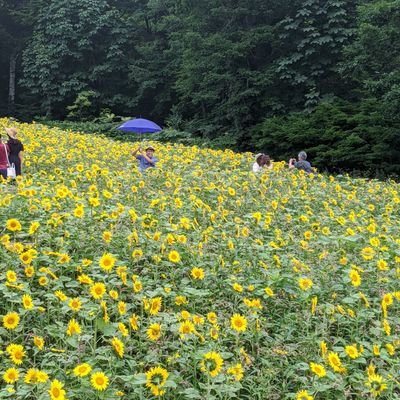 ・茨城出身→信州大学→大手人材企業P社→バイオベンチャー人事（3月1日〜）
・よさこい（和っしょい→信衆→REDA舞神楽→今、ひとたび）
・仕事にも趣味にも燃え盛る天然パーマです。