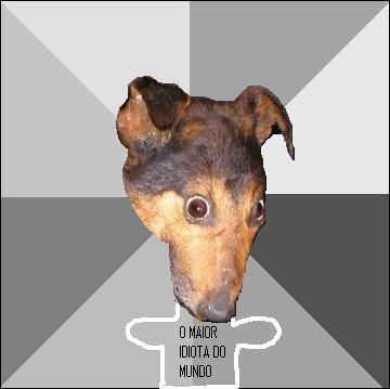 ESCUTE O III.