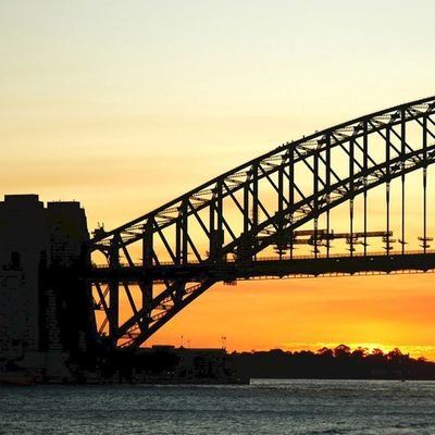 harryk251's profile picture. 