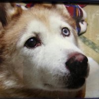 moto (@motoro_ka) 's Twitter Profile Photo moto (@motoro_ka) 's Twitter Profile Photo