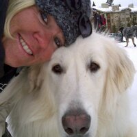 Dana Perry - @parkcitymama Twitter Profile Photo