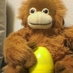 monta (@montamago) Twitter profile photo monta (@montamago) Twitter profile photo