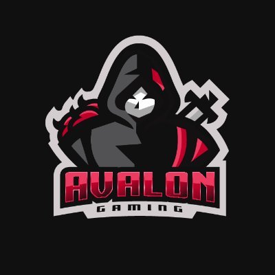 Est. 2019. Pro Gaming Team AVALON Gaming #AvAWIN  Mail：info@gamers-buddy.com