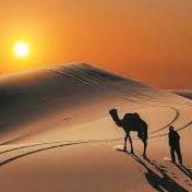 Sanid_unoff's profile picture. 