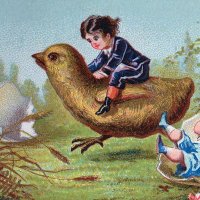 Femke (@femkekuiling) 's Twitter Profile