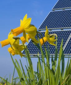 Energiemesse's profile picture. Das Atomzeitalter ist vorüber. Die Energiewende kommt! Wir wollen euch hier über die neusten Entwicklungen informieren und sie zur Diskussion stellen.