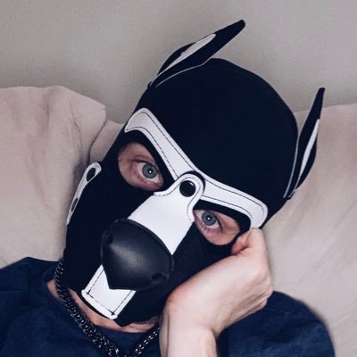 PupDeeno Profile Picture