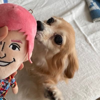 _akiko_exit's profile picture. 2019年初夏-🦄 / 板倉さん / 男性ブランコ など芸人さんいろいろ / トクマス / ラヴィット！ / 感想・RP・情報収集が主なため基本フォロバしてないです / RN半熟オムライス
