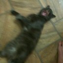 Matt Biddle - @Mattzdizeazed1 - Twitter