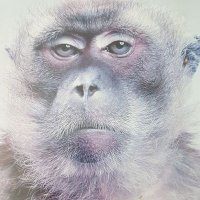 Devolgendevolgster (@geenvolger) 's Twitter Profile Photo Devolgendevolgster (@geenvolger) 's Twitter Profile Photo